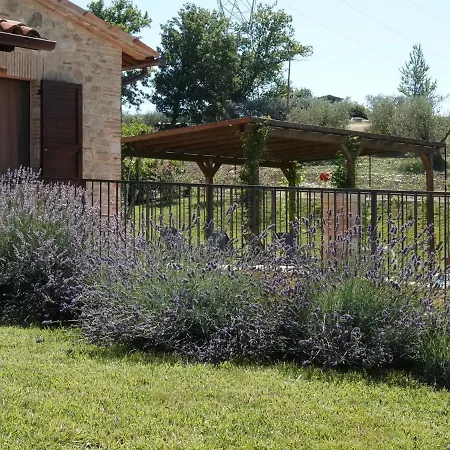 Luxurious In Vasciano Umbria With Private Pool Villa Pesciano